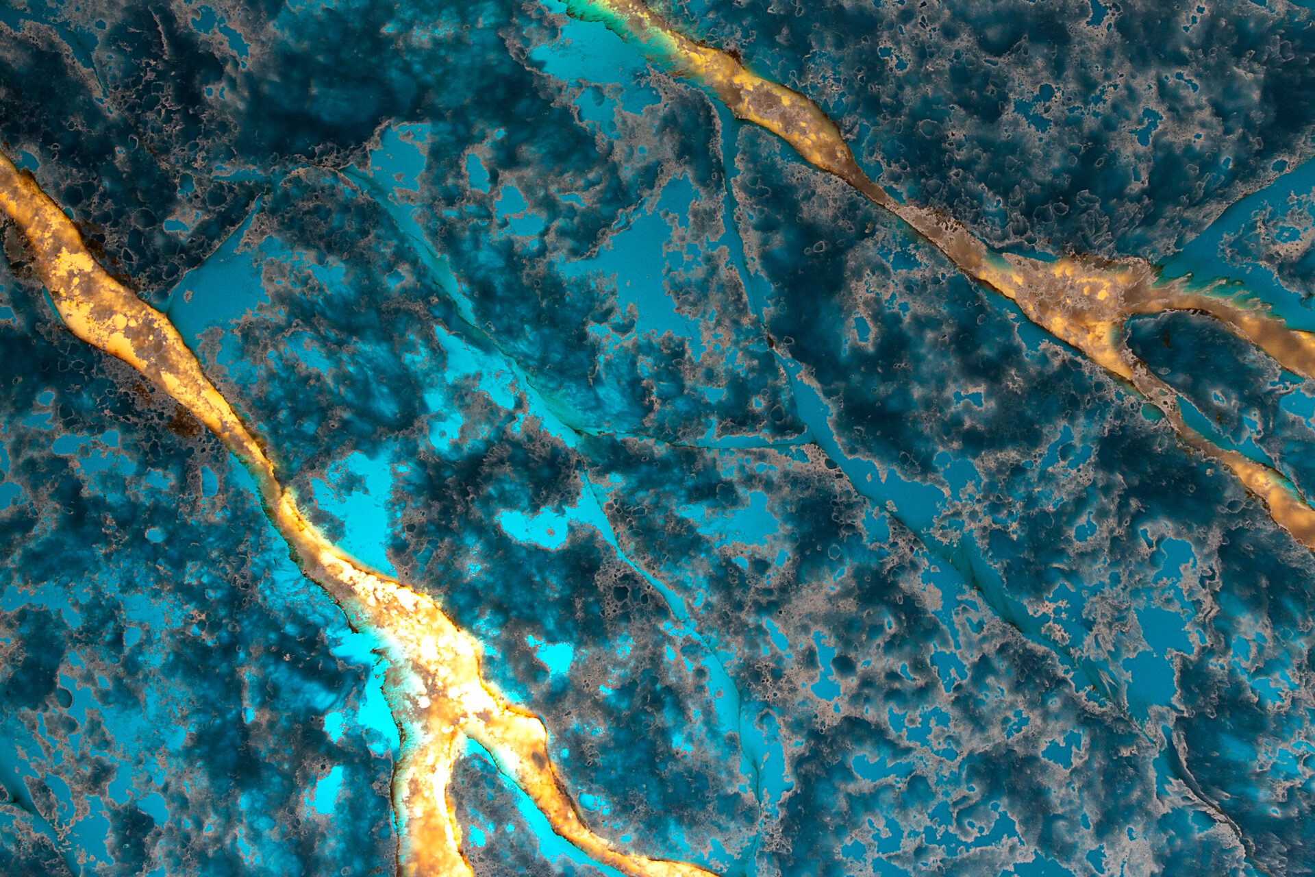 03_Close Up-02_Molokini Blue 45 X 30 - 300 dpi